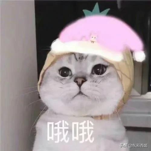 他俩不是“明媒正娶”,是“名正言顺”?