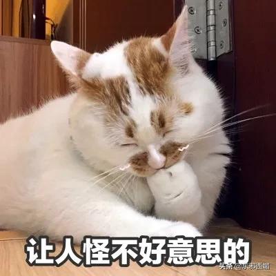 他俩不是“明媒正娶”，是“名正言顺”？