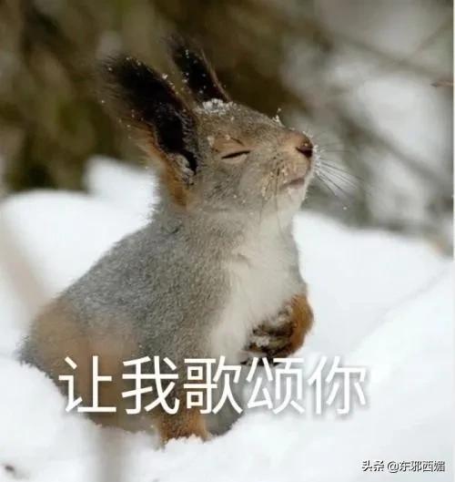他俩不是“明媒正娶”,是“名正言顺”?