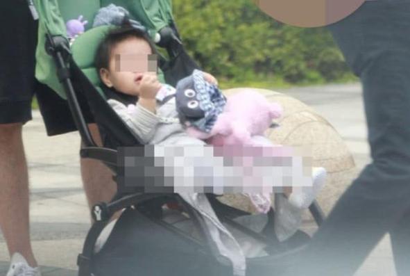 赵又廷宠了张钧甯3年,为何转身娶了2次插足别人感情的高圆圆?