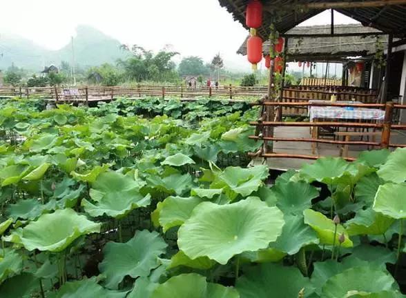 68个长沙最好玩的景点,你去过几个?