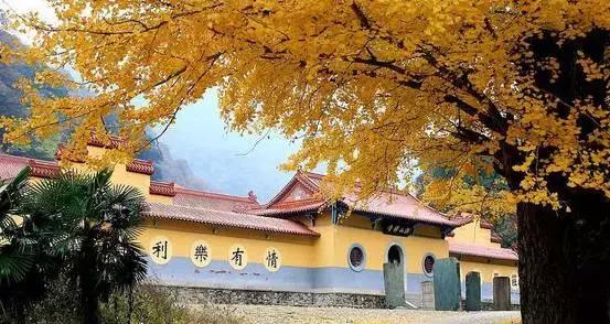 68个长沙最好玩的景点,你去过几个?