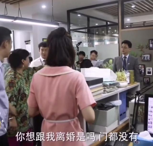 《安家》张乘乘后,又一个女人让别人养儿子,谢亭丰的结局很奇葩