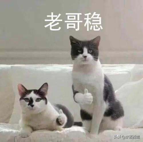 中年男团的剧情连载,每个人都是宝藏……