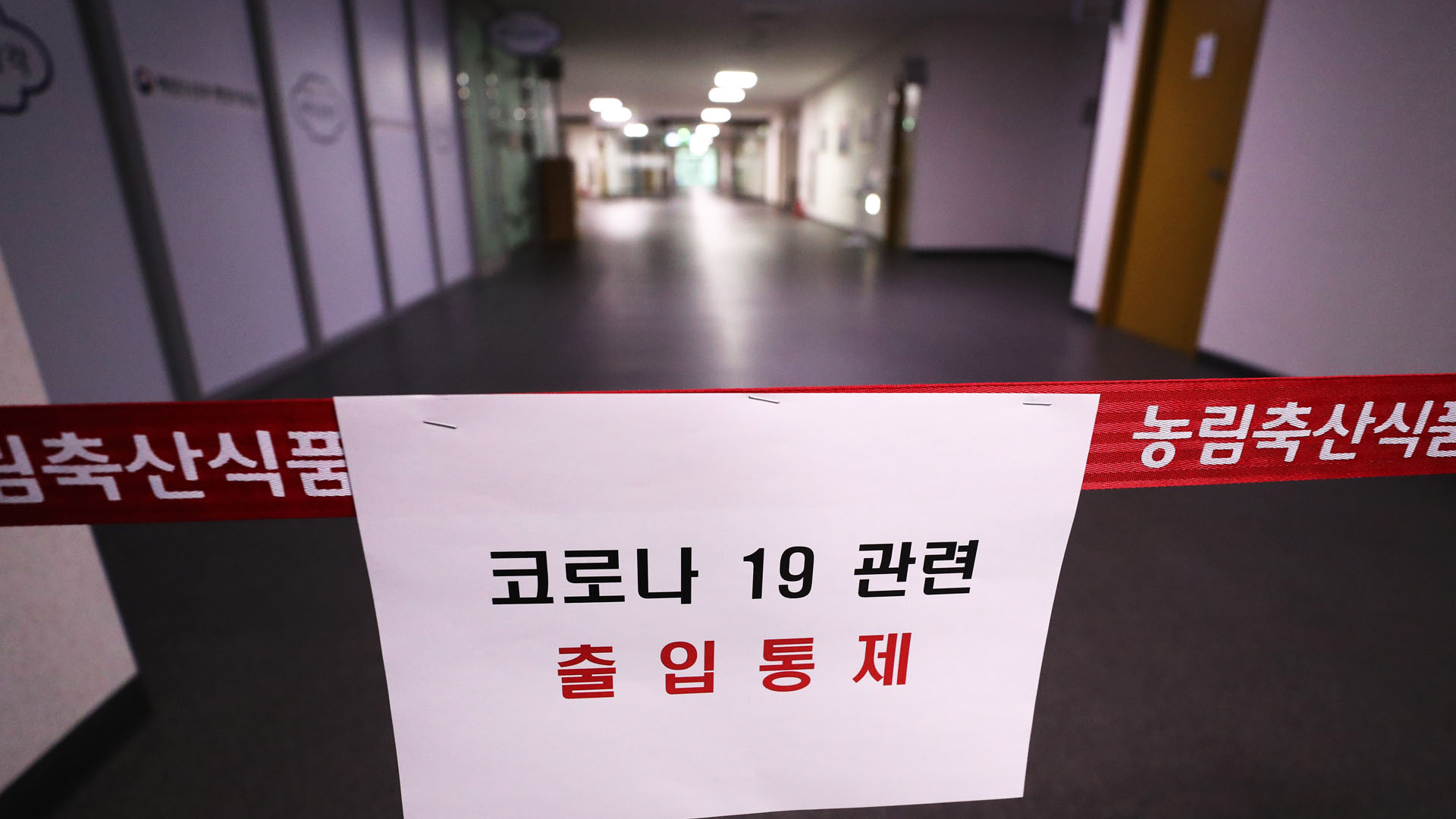 韩国又现集体感染：11名公务员确诊 全员回家办公