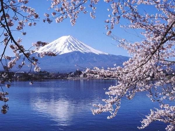 在日本也要“甜甜的”,这几种日本甜食能否满足你?
