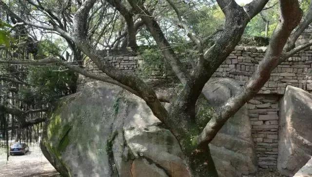 寻古探秘,厦门那些你不知道的灿烂文化底蕴......