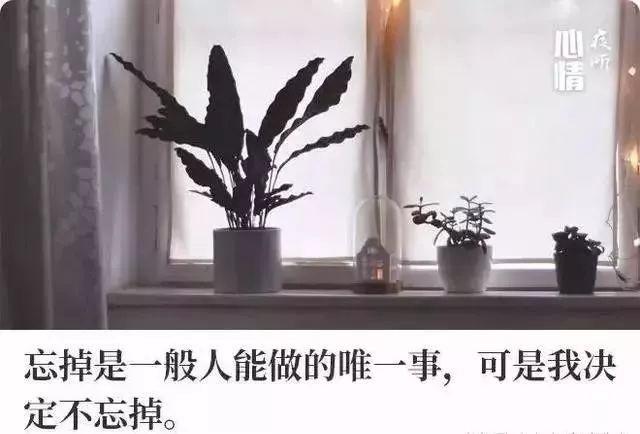 生活,无需复杂,简单就足够了;人生,无需繁华,只需平淡就够了