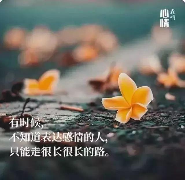 生活,无需复杂,简单就足够了;人生,无需繁华,只需平淡就够了
