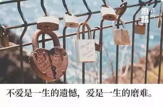 生活,无需复杂,简单就足够了;人生,无需繁华,只需平淡就够了