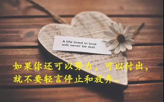 生活,无需复杂,简单就足够了;人生,无需繁华,只需平淡就够了