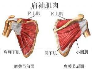 肩膀不同部位疼痛,预示着不同疾病,不能随便治疗