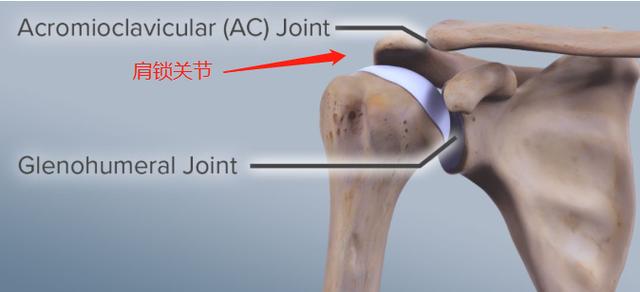 肩膀不同部位疼痛,预示着不同疾病,不能随便治疗