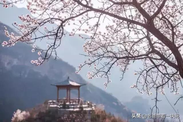 京郊10个春游好去处！带娃爬山、踏春、赏花、拍照