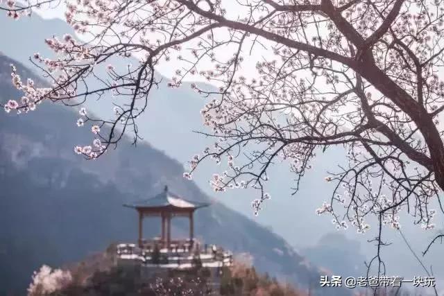 京郊10个春游好去处!带娃爬山、踏春、赏花、拍照