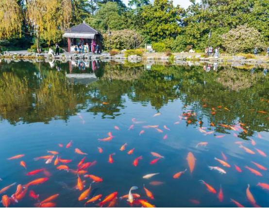 浙江的这两处5A级景区,竟然是免费开放的,你知道吗?