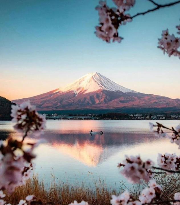 日本富士山小众打卡，领略最美樱花季！搭配温泉简直不要太舒服