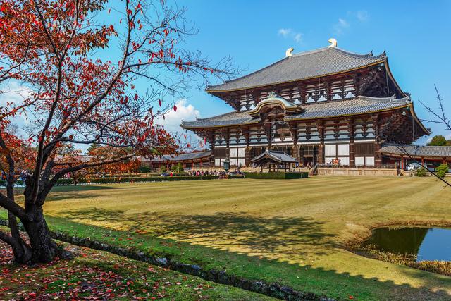 暴走大阪,美食与美景不可辜负,日本旅行拍摄打卡指南