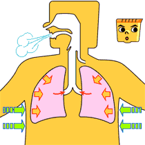 养命先养肺，肺好百病消！每天7个简单动作，改善肺功能，全身轻松