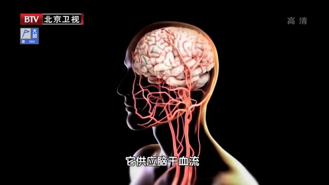 血管最怕堵!常做三个小动作,护血管、促循环,预防卒中和痴呆