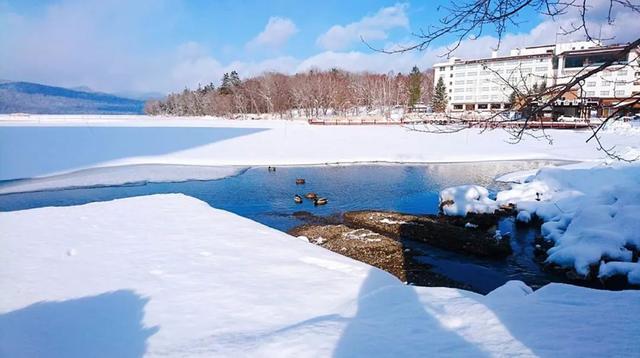北海道|原来日本东北的美食也是猪肉?