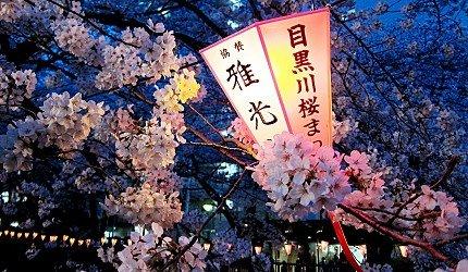 2020东京「夜樱」点灯景点巡礼,个个美不胜收,如临仙境