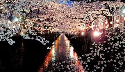 2020东京「夜樱」点灯景点巡礼,个个美不胜收,如临仙境
