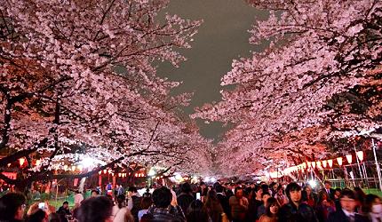 2020东京「夜樱」点灯景点巡礼,个个美不胜收,如临仙境