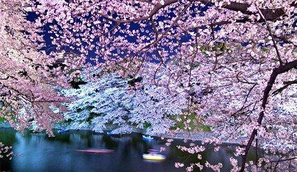 2020东京「夜樱」点灯景点巡礼,个个美不胜收,如临仙境