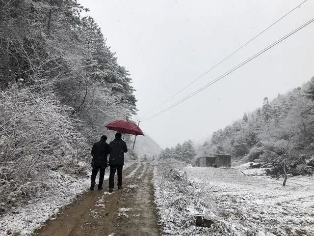 湖北恩施某村村干部在雪天前往村民家为其测量体温。图片由受访者提供