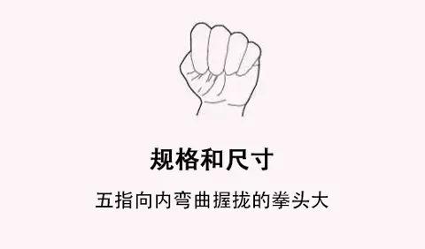 一份通用的健身减脂食谱,工作党、学生党必备