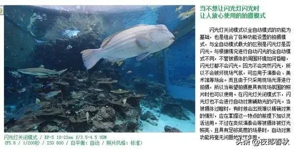 摄影基础知识，学完你也可以成摄影师