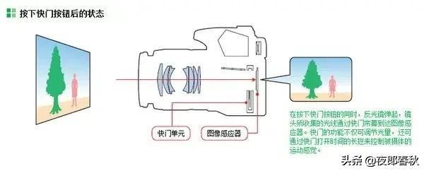 摄影基础知识，学完你也可以成摄影师