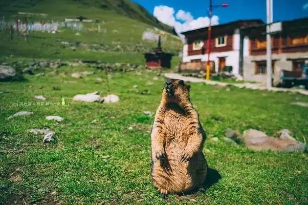 27个浪漫旅行地,往后余生,我想和你一一走遍
