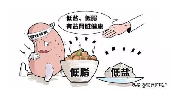 患了肾病都难以康复?这位医生自我调理康复后提醒:方向别跑偏
