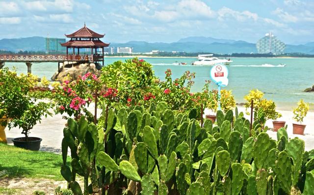 远离都市的繁华喧嚣,享受热带海岛的风情浪漫