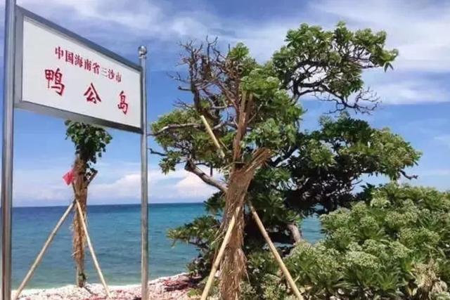 远离都市的繁华喧嚣,享受热带海岛的风情浪漫