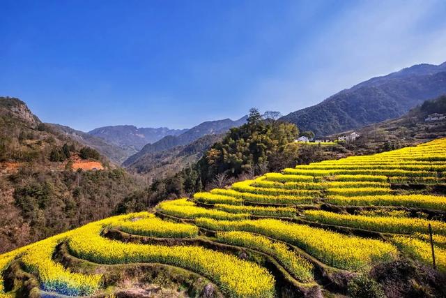 石台:三月,一起去看花!
