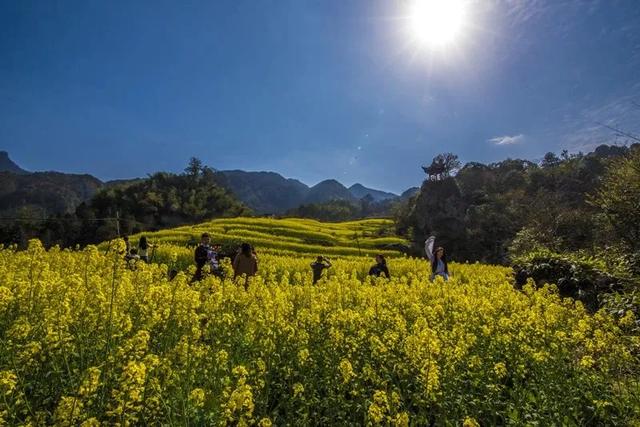 石台:三月,一起去看花!
