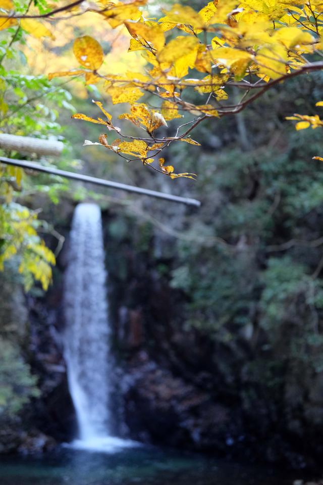 有马温泉的隐藏打卡地：一碗“山川异域，风月同天”的关东煮