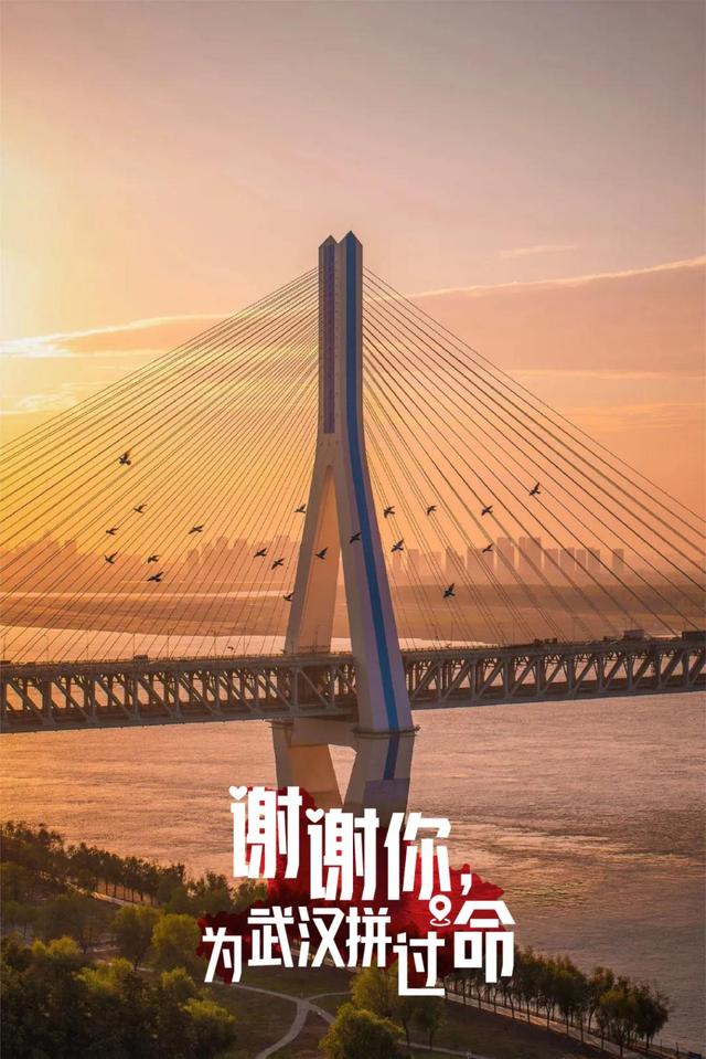 他们用32张美轮美奂的图片,诉说了对全国的感恩!