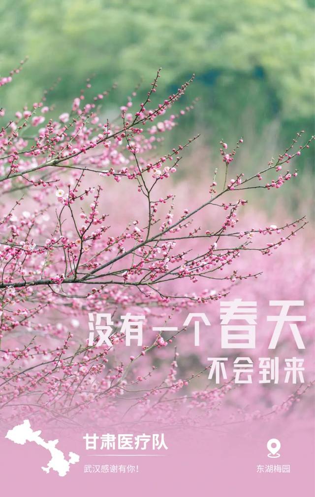 他们用32张美轮美奂的图片,诉说了对全国的感恩!