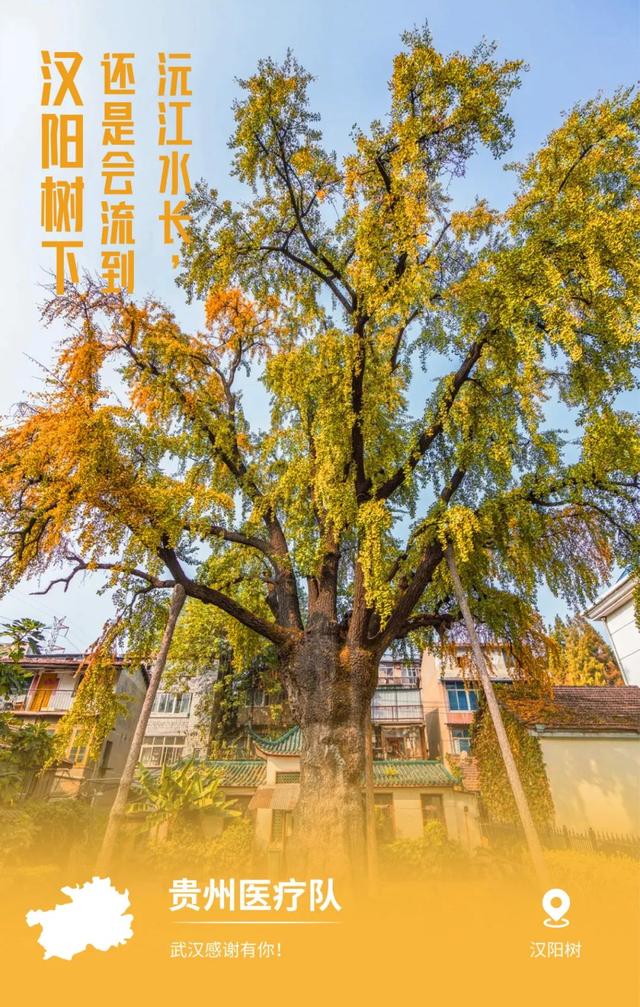 32张感恩图片看哭了,谢谢你为武汉拼过命!