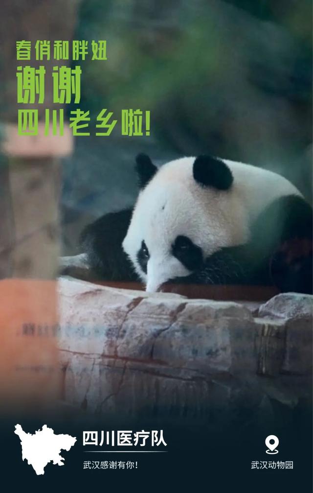 32张感恩图片看哭了,谢谢你为武汉拼过命!