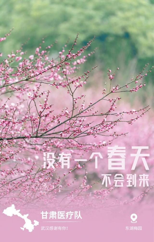 32张感恩图片看哭了,谢谢你为武汉拼过命!