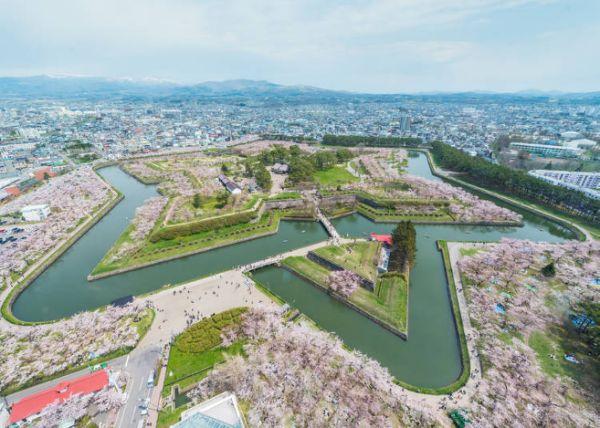 北海道樱花:观赏樱花的8个最佳去处(2020年版)