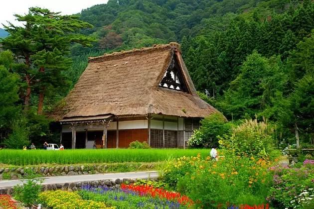 看了真实的日本农村，给我国乡村旅游旅游带来哪些启发？