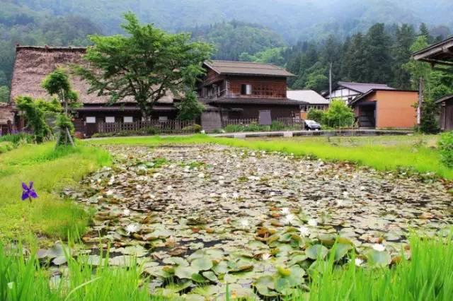 看了真实的日本农村，给我国乡村旅游旅游带来哪些启发？
