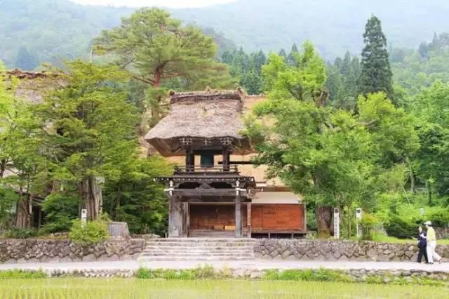 看了真实的日本农村，给我国乡村旅游旅游带来哪些启发？