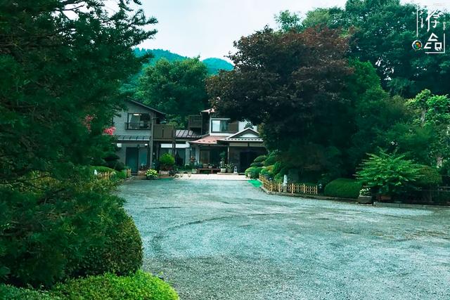 日本旅游省钱攻略:出行别打车,晚上选民宿,购物一定要退税